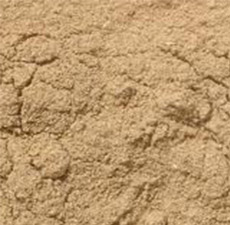 PSYLLIUM SEED BLONDE POWDER